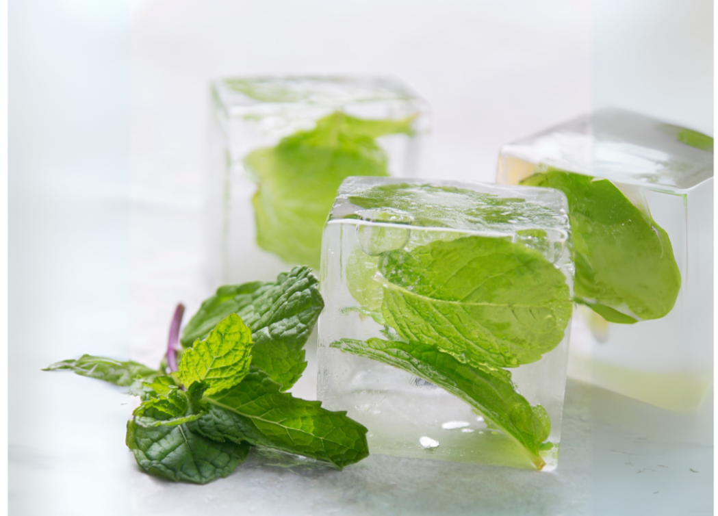 Vanilla Mint Lip Balm
