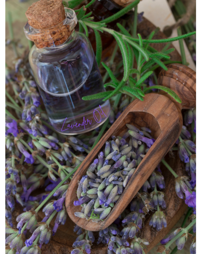 Lavender Lip Balm