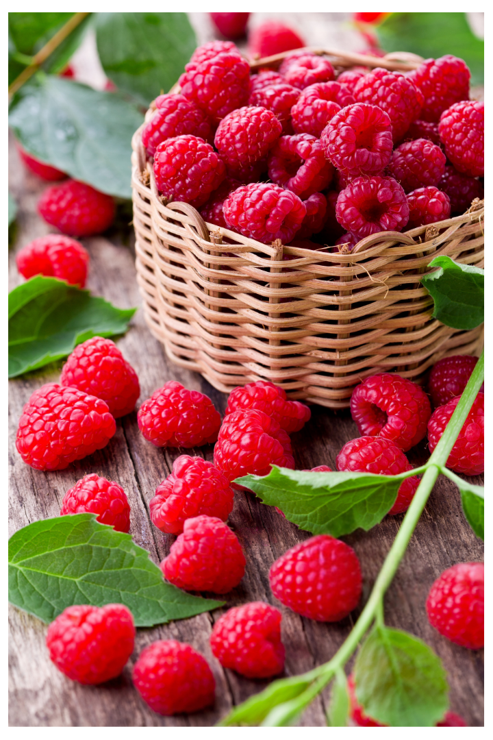 Raspberry Lip Balm