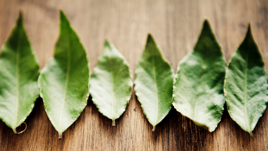 Bay Leaf Balm