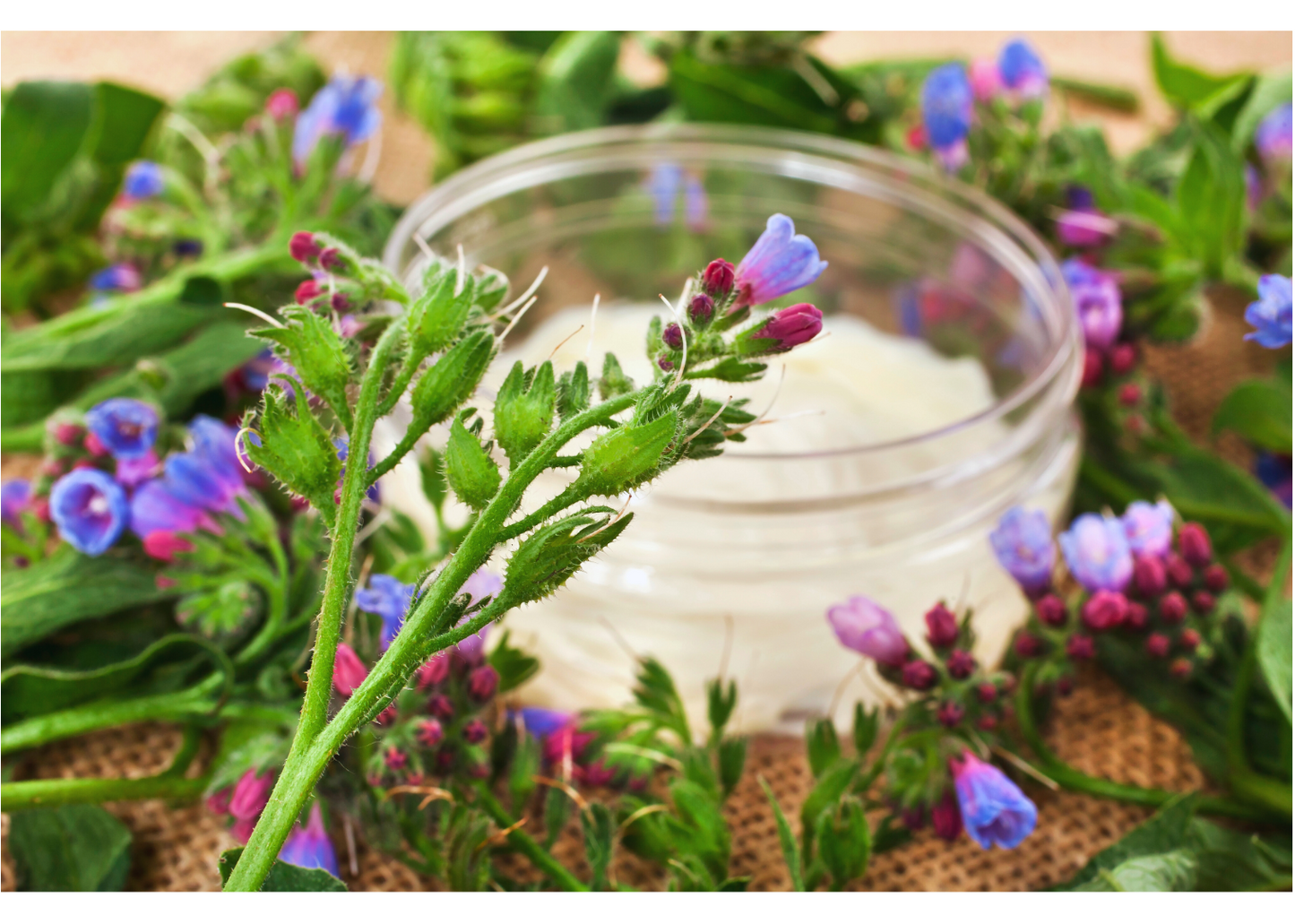 Comfrey Salve