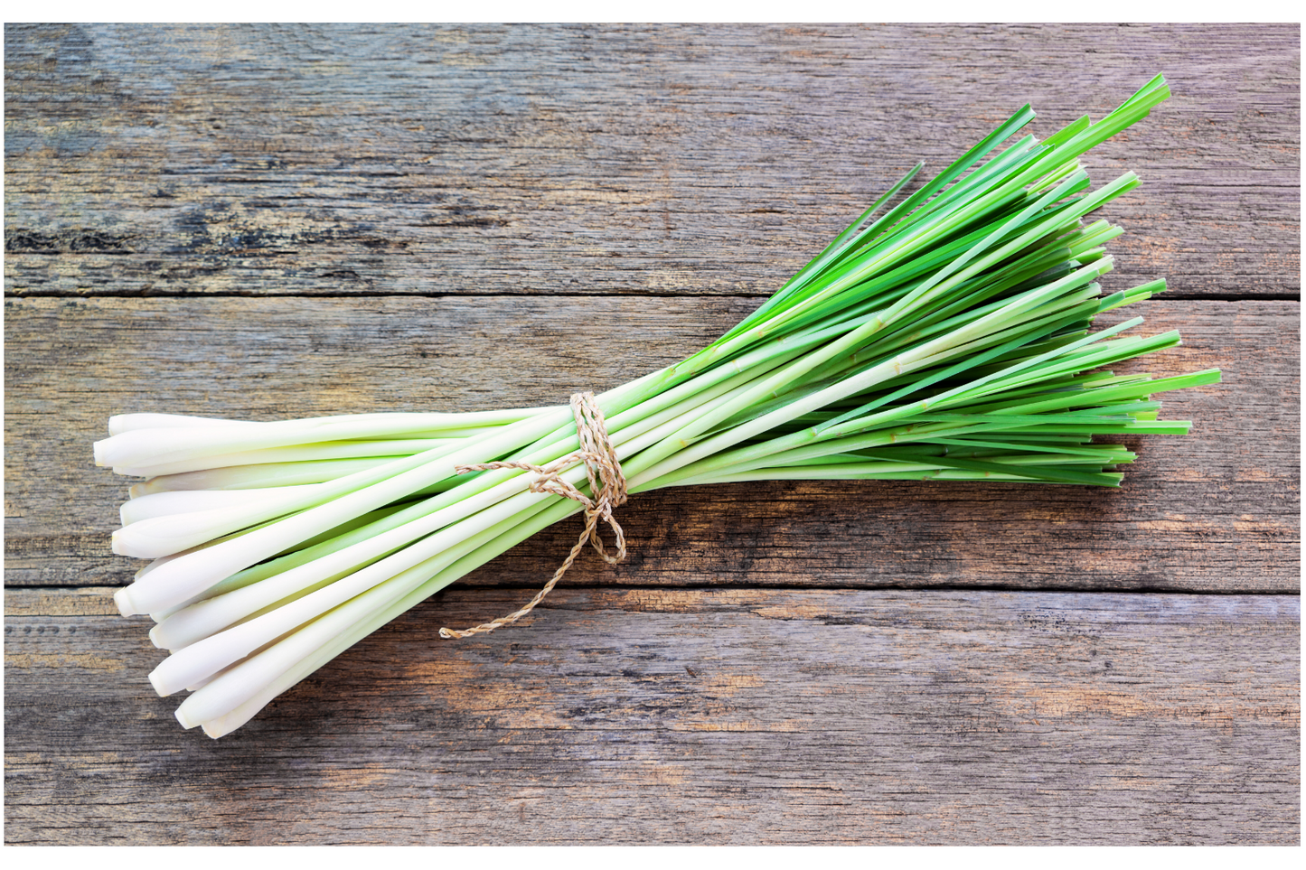 Lemongrass Lip Balm