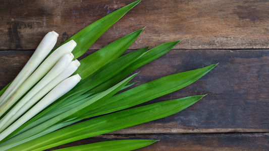 Lemongrass Lip Balm