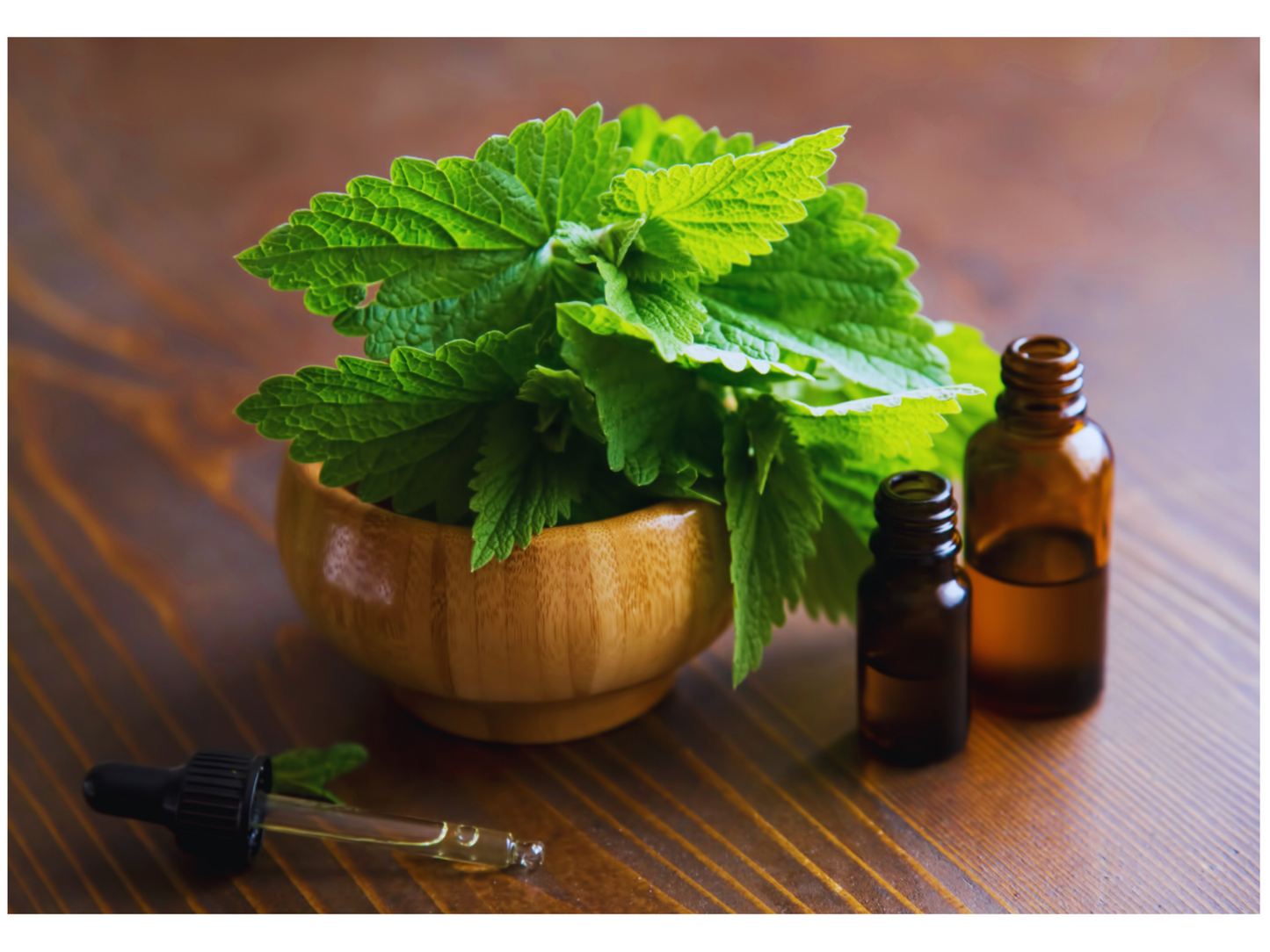 Vanilla Mint Lip Balm